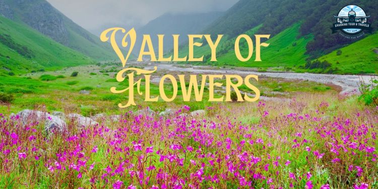 Valley of Flower Tour Package